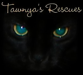  Welcome to Tawnya's Treasures! 